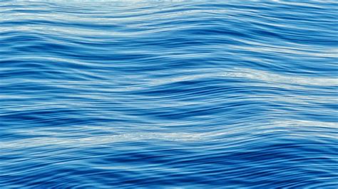 While we have a few in america, it's a big part of the culture in korea. Blue Ocean Strategy