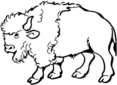 Kindergarten and preschool children will quickly and easily learn their colors and 4. Free Buffalo and Bison Coloring Pages