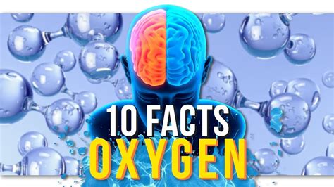 25 Interesting Facts About Oxygen Rezfoods Resep Masakan Indonesia