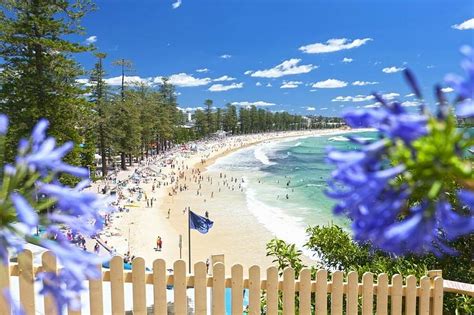 Manly Beach Sydney All You Need To Know Before You Go