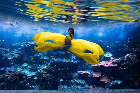 Underwater Photos Tips To Take Amazing Underwater Photos