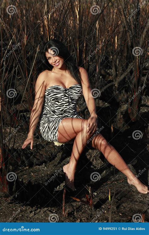 Zebra Girl In The Wild Stock Image Image Of Latino Woman 9499251