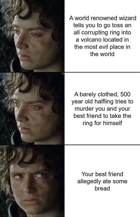 Lord Of The Rings Memes That Perfectly Sum Up Frodo As A Character