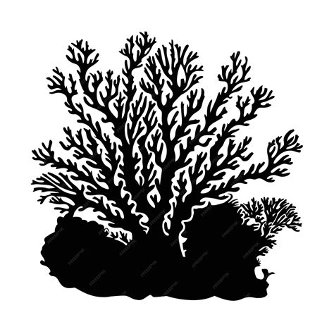 Premium Vector Sea Corals And Seaweed Black Silhouette Vector Isolated