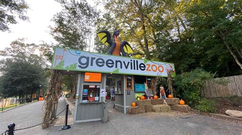 11 Surprising Facts About Greenville Zoo