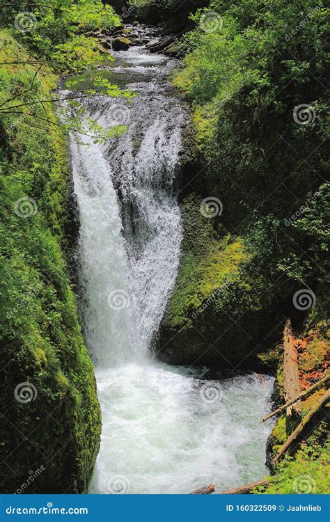 Middle Oneonta Falls Columbia River Gorge Near Portland Oregon