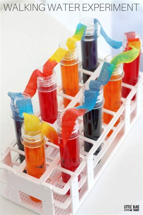 Curious kids turn into junior scientists hi, this sounds like a neat activity for young toddlers to explore for texture. Walking Water Science Experiment for Kids STEM and Rainbow ...