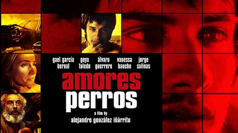 Celebra “amores Perros” 20 Años Con Funciones Especiales En Cines De Querétaro Tiempo Libre