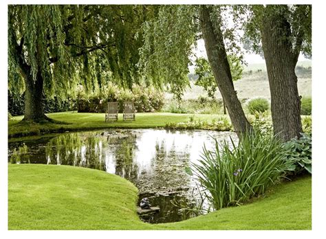 Watch how to add fish to a pond. 43 Stunning Garden Pond Waterfall Design Ideas | Pond ...