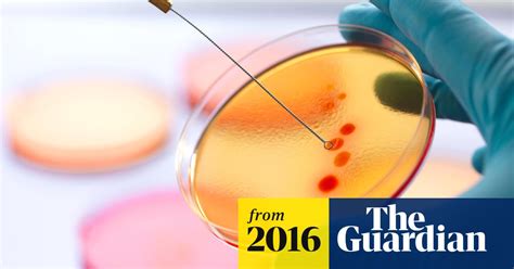Antimicrobial Resistance A Greater Threat Than Cancer By 2050