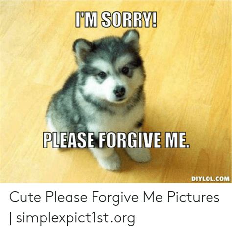 please forgive me cute meme goimages ily