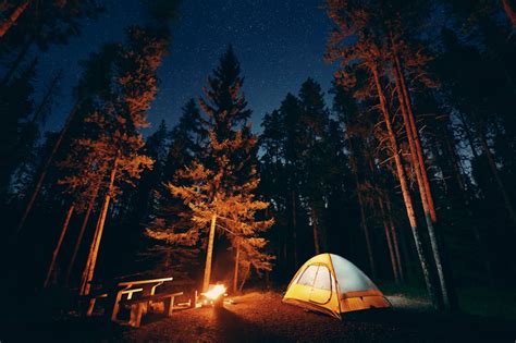 Camping 5 Ways To Make It An Eco Friendly Camping Trip