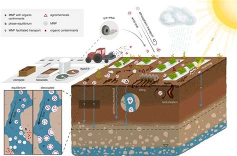 Microplastics Do Not Contribute To The Mobility Of Organic Pollutants