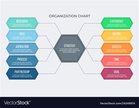 Business Infographic Organization Chart With 10 Vector Image