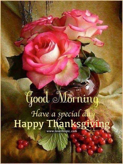 Good Morning Have A Special Day Happy Thanksgiving Pictures Photos