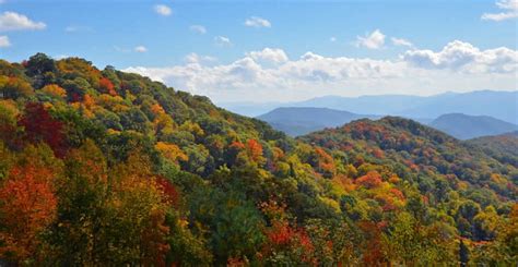 Explore Fall Colors In The Great Smoky Mountains