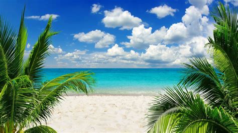 Download Tropics Shore Sky Sea Nature Tropical K Ultra Hd Wallpaper