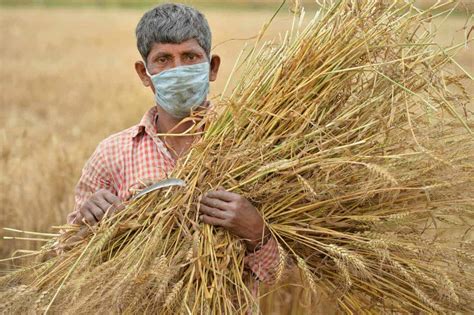 Find telangana news headlines, photos, videos, comments, blog posts and opinion at the indian express. Telangana farmers can now grow only what the govt wants