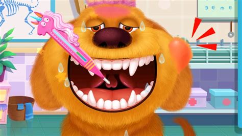 Furry Pet Hospital - Let's learn How To Take Care Of The Cute Animals