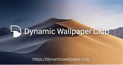 Dynamic Mac Os 4k Catalina Wallpapers Windows