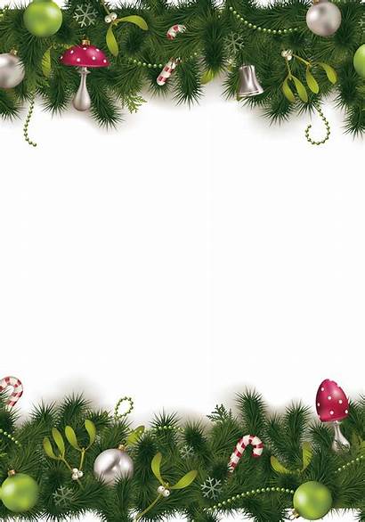 Simple Winter Evergreen Holiday Tree Celebration Fir
