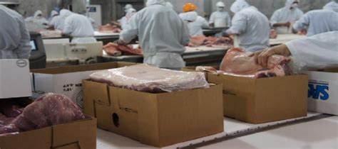 Con esto, se amplía el número de mexicanos con posibilidad de tener acceso a la. Las exportaciones de carne vacuna crecieron un 18,5% en ...