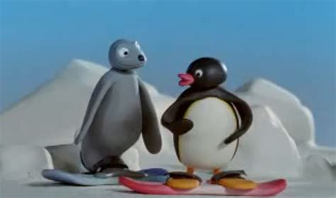 How many species of penguins live in antarctica? Androidfeild: Do you remember this Penguin