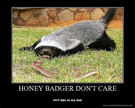 Image 739640 Honey Badger Know Your Meme