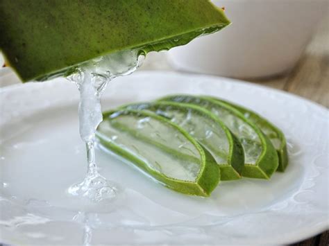 Entrenador de vocabulario, tablas de conjugación, opción audio gratis. Cómo preparar una mascarilla de aloe vera para la cara ...