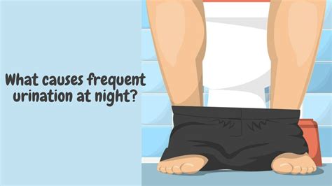 peeing often at night know 5 reasons you might be hitting the loo more than usual health