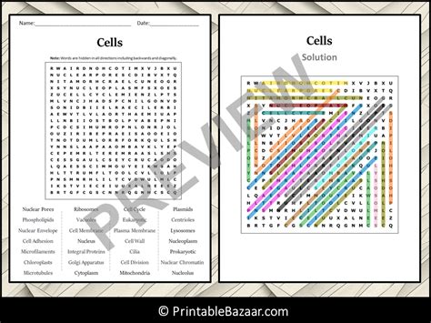 Cells Word Search Puzzle Worksheet Activity Teaching Resources