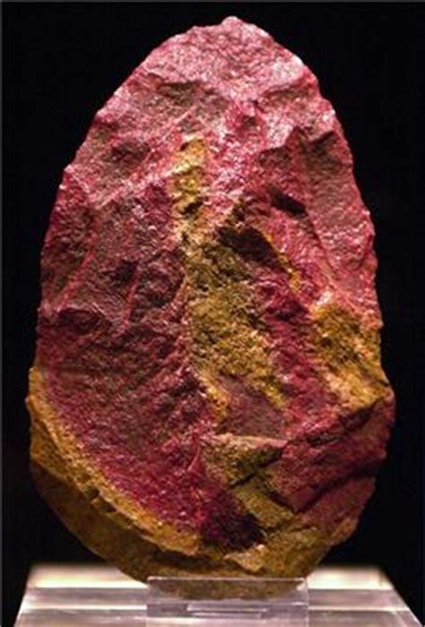 Primer volumen, de nivel a1, de aula internacional. La pizarra de Yuri » Blog Archive » El bífaz Excalibur, hallado en la sima de Atapuerca.
