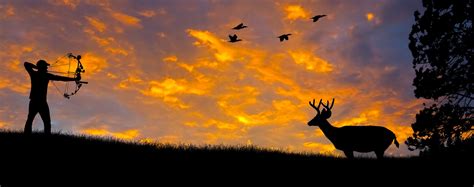 Hunting Backgrounds Wallpapers Images Pictures Bow Hunting