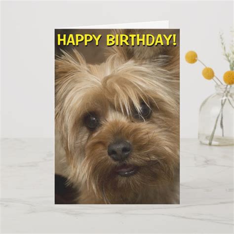 Cute Yorkie Birthday Card Zazzle Yorkie Birthday Cards Birthday