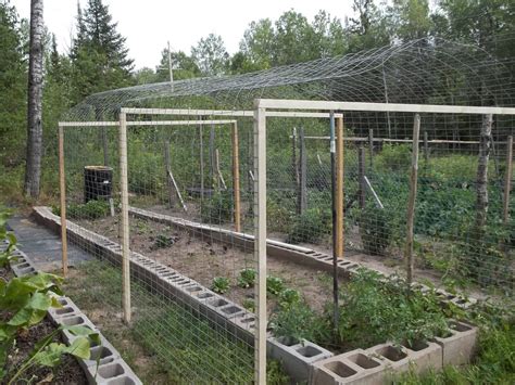 Proper stretching and installation of the chicken wire is a two person job. In da Woods Homesteader: Greenhouse plans and heating ...