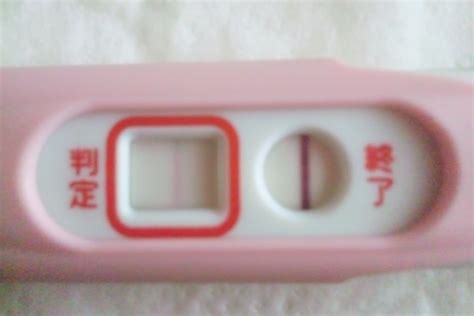 Download 高温期13日目 まだ陽性 Images For Free