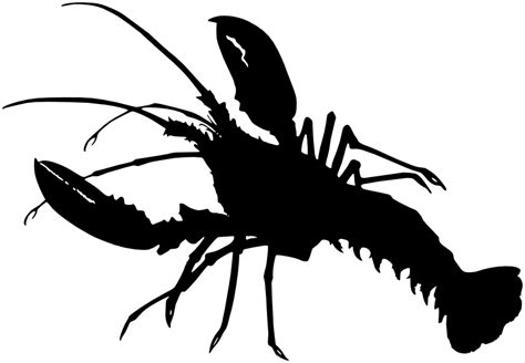 Lobster Png Black And White Transparent Lobster Black And Whitepng