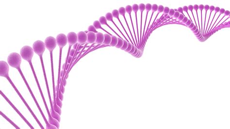 Comme les réflexions quasi prophétiques du physicien autrichien erwin schrödinger l'ont entrevu dès. ADN: tres modelos y tres aplicaciones - Diariomedico.com