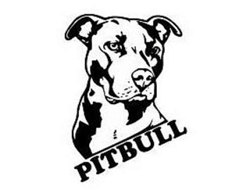 Vector image of an pitbull. Download American Pit Bull Terrier svg for free ...