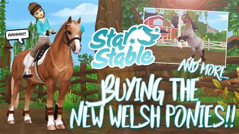 Buying The New Welsh Ponies New Bridles And More Star Stable Updates