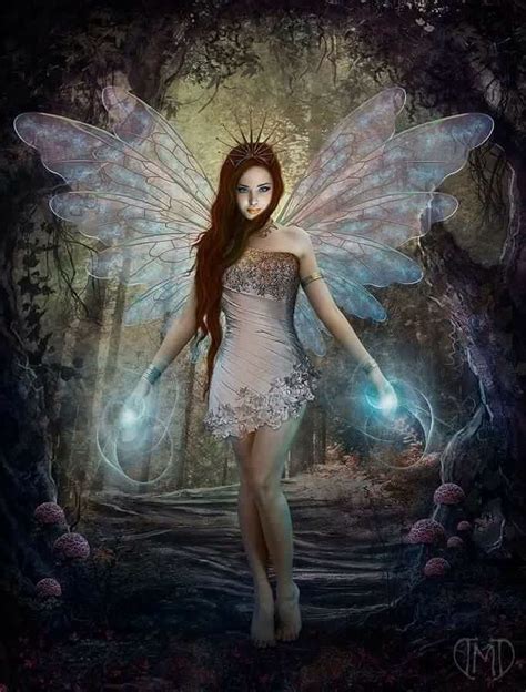 Magical Fairy Daydreaming Photo Fanpop