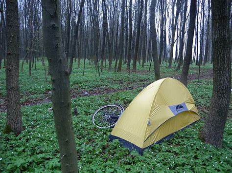 Stop at guilin lakeside inn to discover the wonders of guilin. Camping in a woodland glade | Bike camping, Outdoors ...