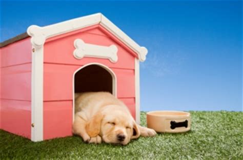 Bms dog pen dog fence dog house playpen outdoor camping large heavy duty dog crate kennel cage with reversibel cover,4 x 4 x 4.3/7.5 x 3.75 x 5.8feet 4.2 out of 5 stars 335 $189.99 $ 189. Housing a Golden Retriever Inside or Outdoors | Golden ...