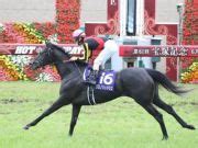 日本中央競馬会は、6月28日に開催される第61回宝塚記念（gⅰ)に先立ち、android/ios用rpg「fate/grand order」(以下、fgo)」とコラボした特別企画「fate/grandprix order in 宝塚記念」を開始した。 「マンガで分かるfgo～宝塚記念編～」公開. 宝塚記念2021予想 - 過去10年の結果・歴史｜競馬予想のウマニ ...