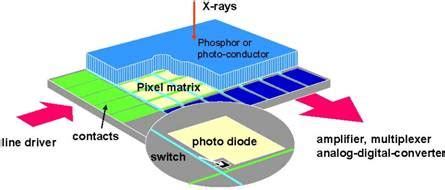 In the middle of the. Acquisition of digital chest images for pneumoconiosis ...