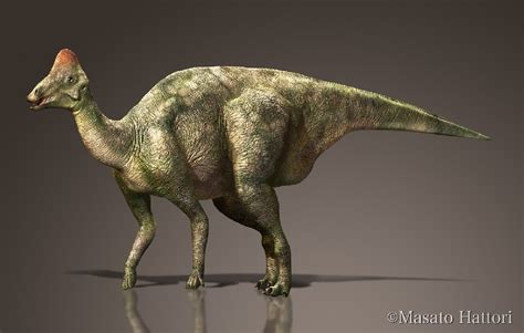 Hypacrosaurus Pictures And Facts The Dinosaur Database