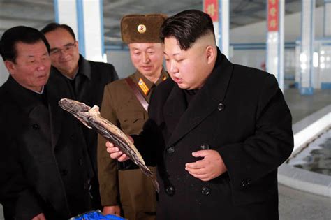 Jun 10, 2021 · kim jong un appears to have lost some weight — and that could have geopolitical consequences michael e. Kim Jong-Un has spent £2million on gym equipment to try ...