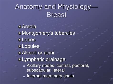 Ppt Anatomy And Physiology— Breast Powerpoint Presentation Id1795729
