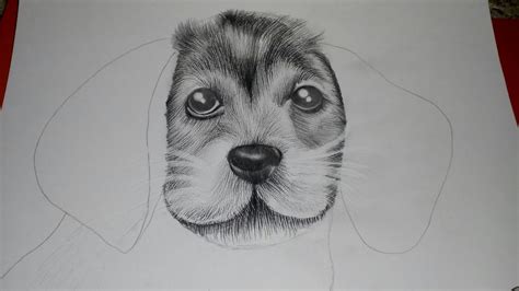How To Draw Realistic Fur Of Dogpart 1animal Fur Tutorial For