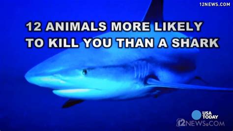 12 Animals More Likely To Kill You Than Sharks